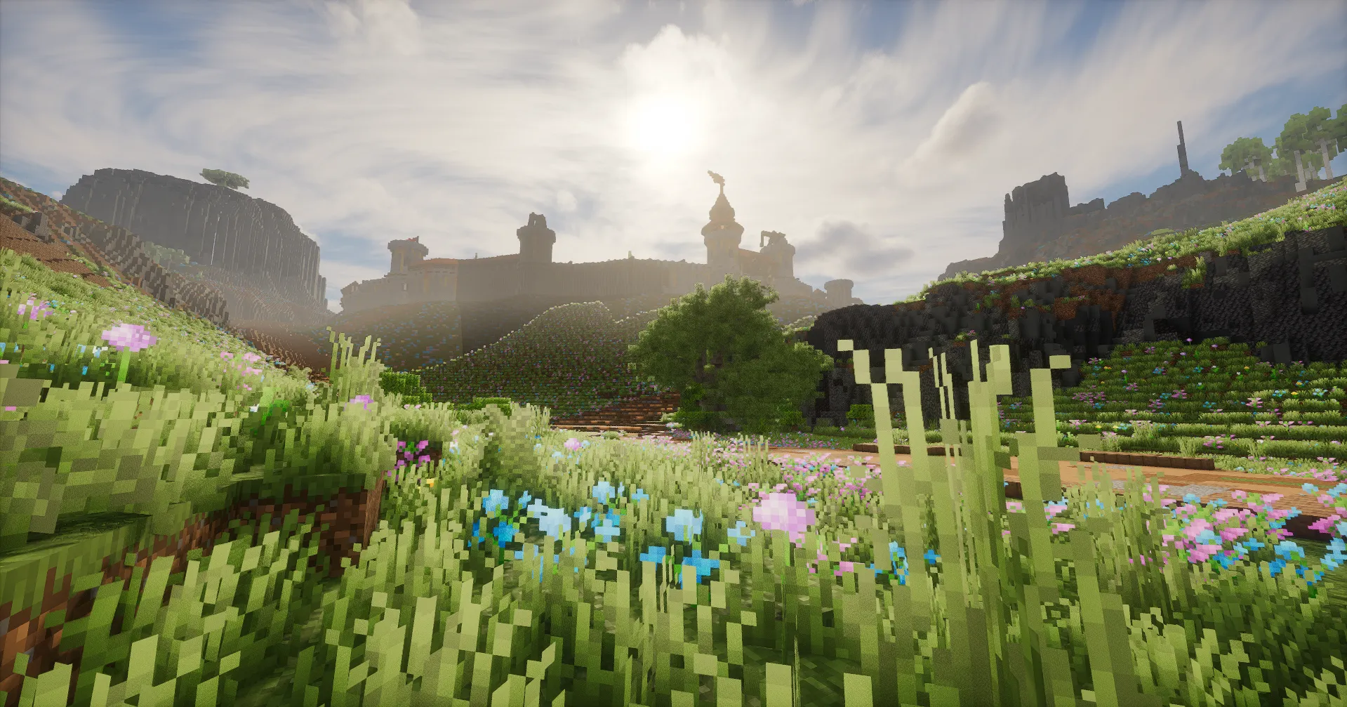 Une citadelle en contre-jour au sommet d'une colline fleurie
