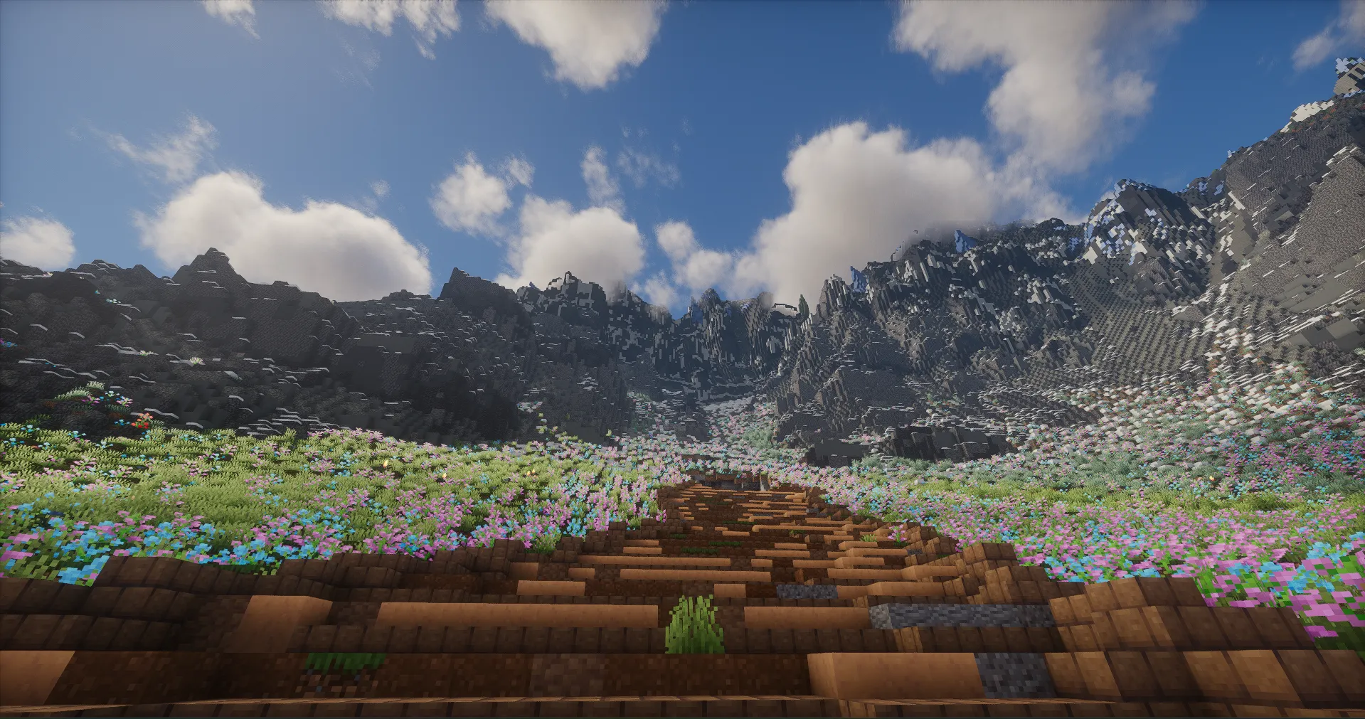 Un chemin de terre traversant une prairie fleurie au pied de falaises